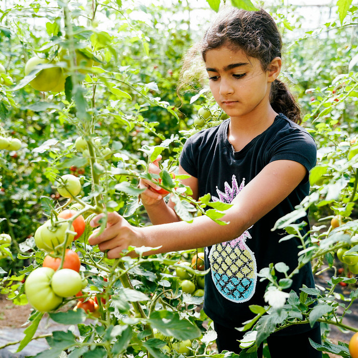Foto: Sarah Wiener Stiftung I photothek